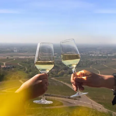 Отель Rebenhof 4*