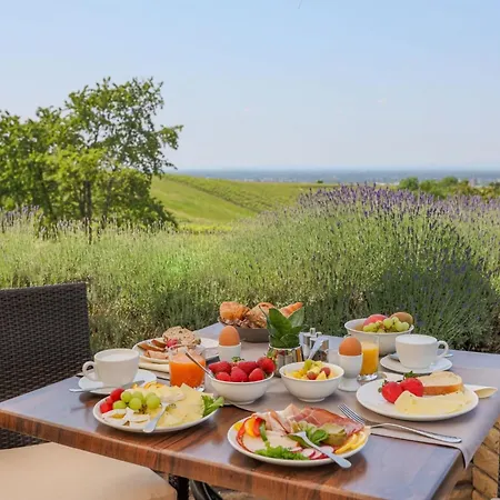 فندق ريبنهوف