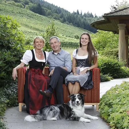 فندق ريبنهوف 4*