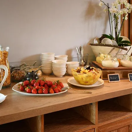 ريبنهوف فندق 4*