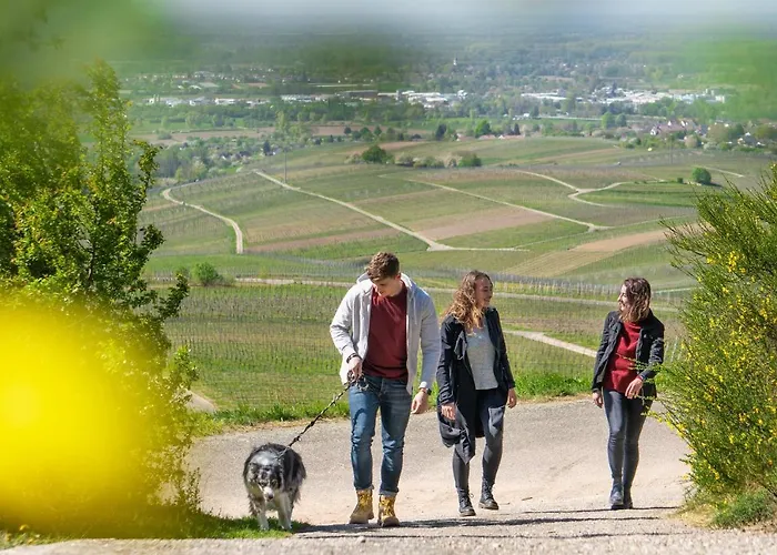 ホテル レーベンホフ