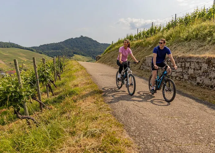 ホテル レーベンホフ 4*