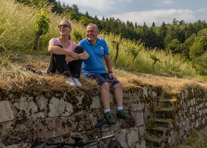 レーベンホフ ホテル 4*